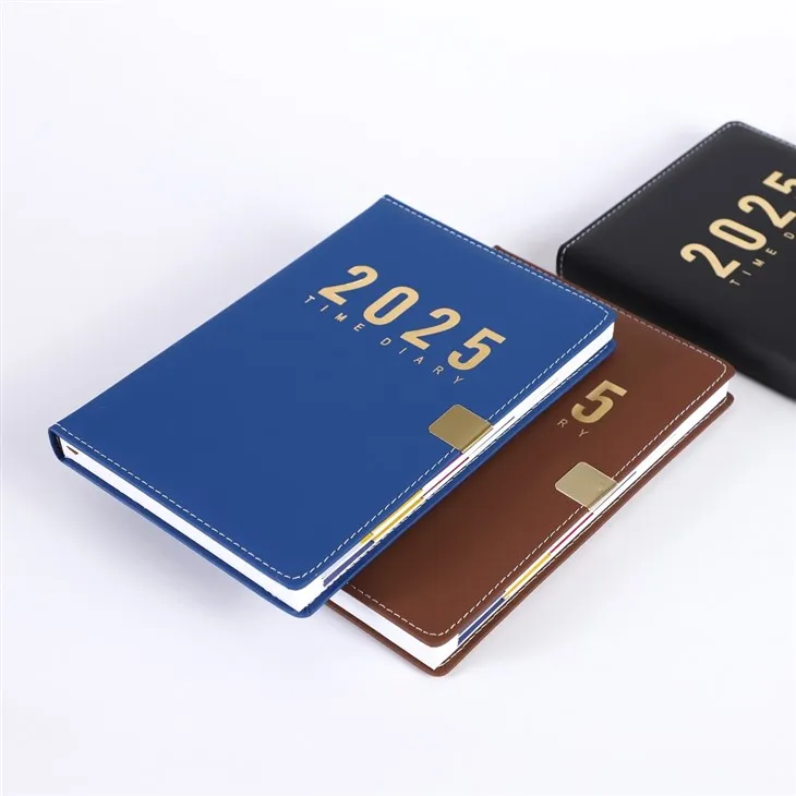Daily Planner 2025