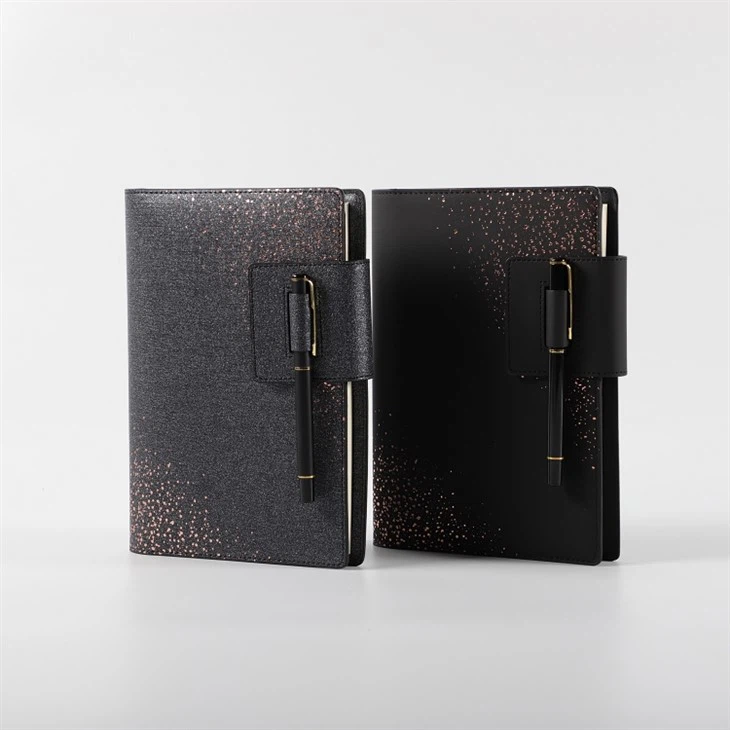 Executive Leather Diary